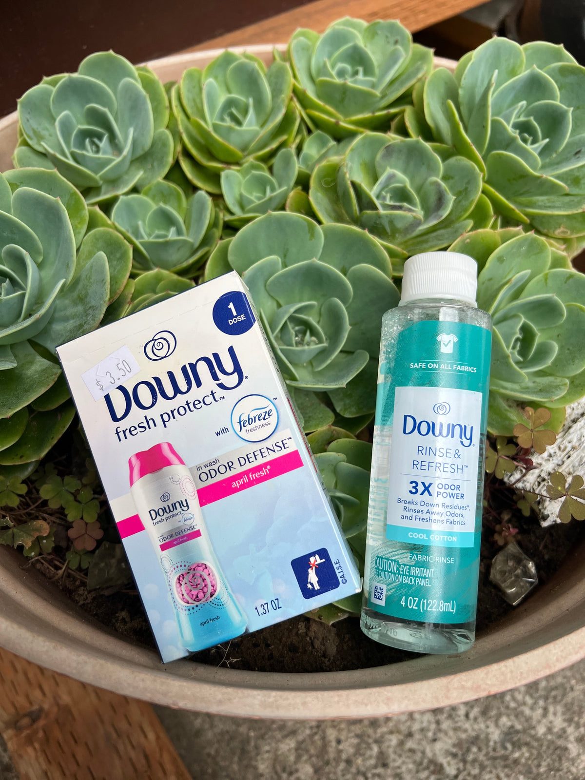 HB Downy Detergent