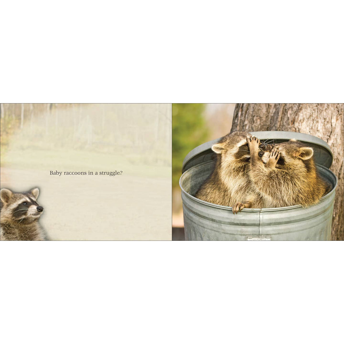 Cutest Critter Children's Book