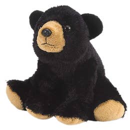Stuffed Bear