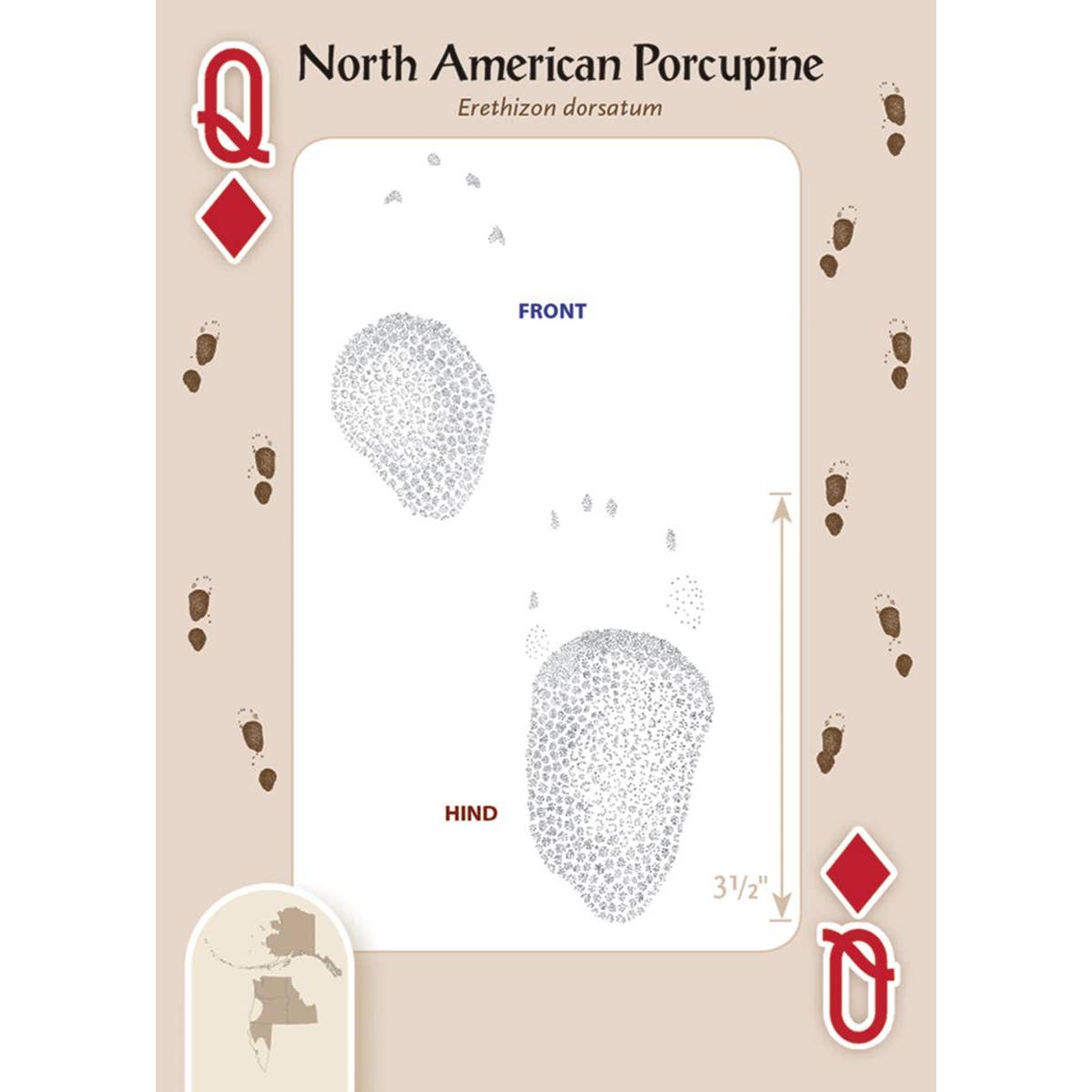 Animal Tracks of the Northwest Playing Cards