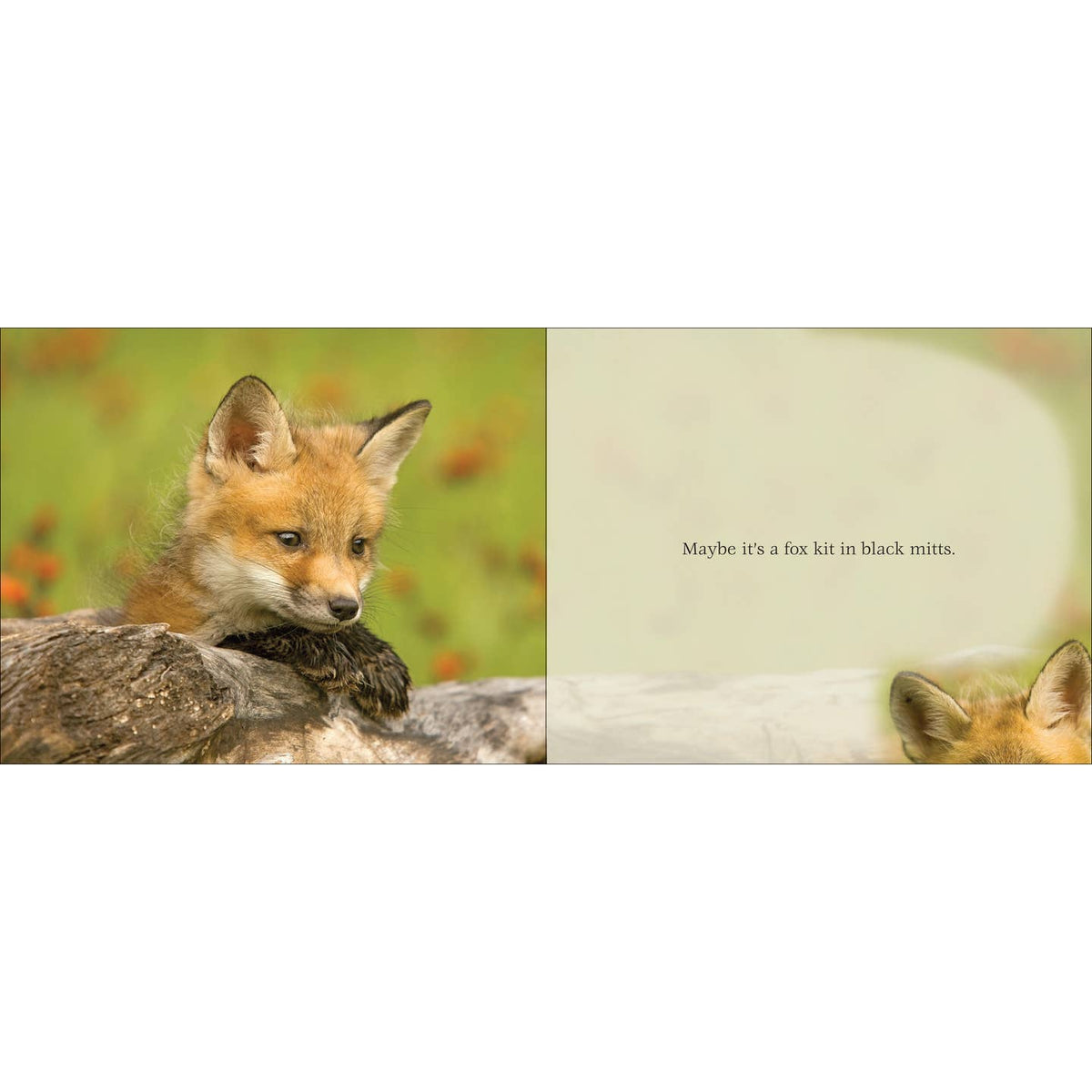 Cutest Critter Children's Book